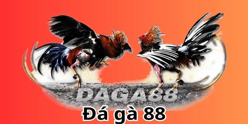 Đà gà 88 – Thế giới giải trí đỉnh cao tại Net88